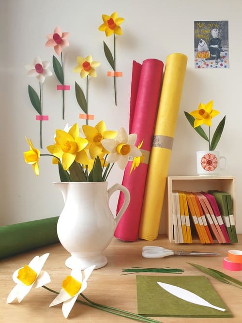 KIT JONQUILLES JAUNES